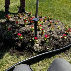 TLT Lawncare & Snow Removal