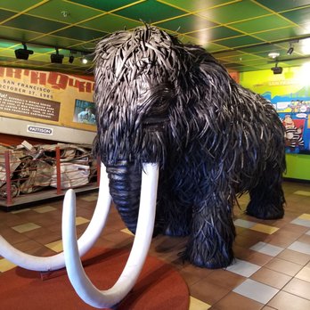 Ripley's Believe It or Not! - Museums Near Me - San Francisco, California