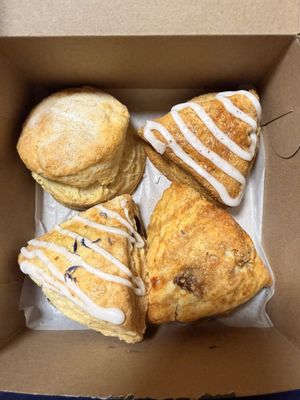 Kitten and the Bear by null