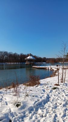 Lake Artemesia Natural Area by null