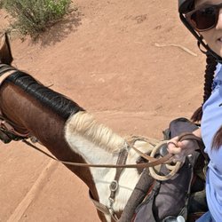 Academy Riding Stables
