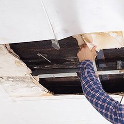 Regent Restoration of Dallas - Regent Restoration provides ceiling water damage repair services in Dallas