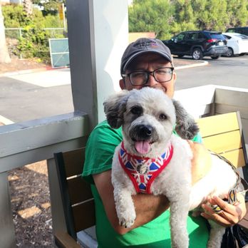 Cocina de Barrio - Encinitas - Happy dog, happy family - Breakfast & Brunch Near Me - Encinitas, California
