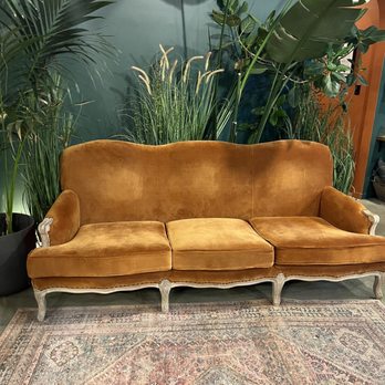 Black Shed - Wish I had this sofa in my house! - Nurseries & Gardening Near Me - Stockton, New Jersey Black Shed - Wish I had this sofa in my house! - Nurseries & Gardening Near Me - Stockton, New Jersey