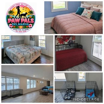 Paw Pals Delmarva - BEHIND THE SCENES AT PAW PALS DELMARVA!! BOOK DOGGY DAYCARE OR LUXURY CAGE-FREE BOARDING TODAY!! - Dog Walkers Near Me - Ocean View , Delaware Paw Pals Delmarva - BEHIND THE SCENES AT PAW PALS DELMARVA!! BOOK DOGGY DAYCARE OR LUXURY CAGE-FREE BOARDING TODAY!! - Dog Walkers Near Me - Ocean View , Delaware