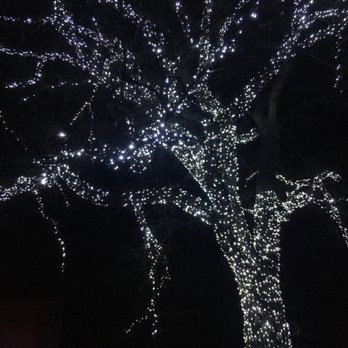 Denver Zoo Lights - Festivals Near Me - Denver, Colorado