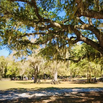 Blue Spring State Park - Picnic area (near the parking lot) - Parks Near Me - Orange City, Florida Blue Spring State Park - Picnic area (near the parking lot) - Parks Near Me - Orange City, Florida