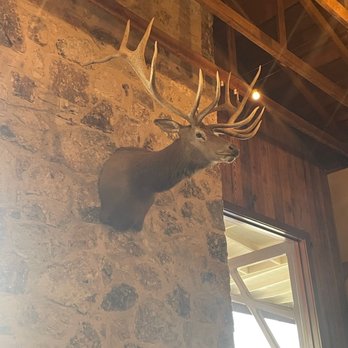The Auslander - Elk - German Near Me - Fredericksburg, Texas
