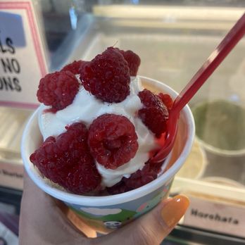 Willow Glen Creamery - Custard with raspberry - Ice Cream & Frozen Yogurt Near Me - San Jose, California