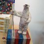 Photo of Torpedo Factory Artists'association