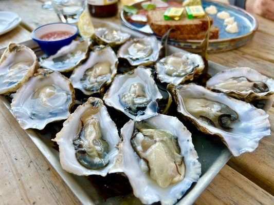 King Sitric Seafood Bar & Accommodation by null