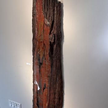 Goldstein Créations - Petrified wood - Art Galleries Near Me - Tucson, Arizona Goldstein Créations - Petrified wood - Art Galleries Near Me - Tucson, Arizona