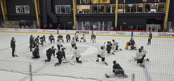 City National Arena by null