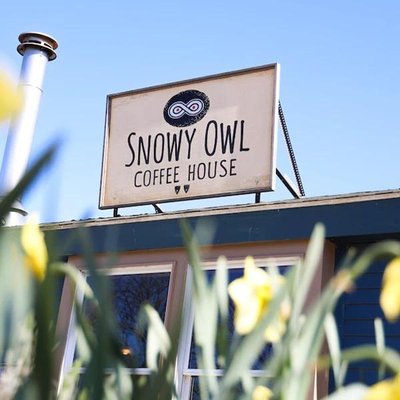 Snowy Owl Coffee House by null