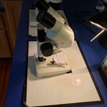 Sandoway Discovery Center - Microscopes with slides - Parks Near Me - Delray Beach, Florida Sandoway Discovery Center - Microscopes with slides - Parks Near Me - Delray Beach, Florida