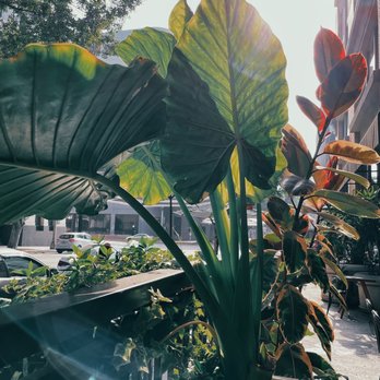 Republik Coffee - Coffee & Tea Near Me - Pasadena, California