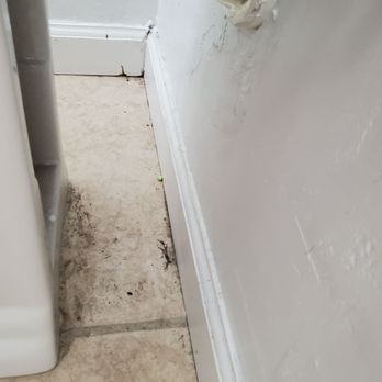 Pro Luxury Cleaning Services - Home Cleaning Near Me - Phoenix, Arizona Pro Luxury Cleaning Services - Home Cleaning Near Me - Phoenix, Arizona