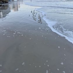 Ponce Inlet Town of - Burbs running on the beach