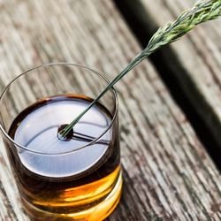 Haymaker Bar and Kitchen by null