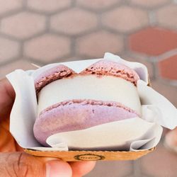 Bag O' Crab - Vanilla Macaroon. (Size of a regular small macaroon)