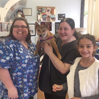 Cats Exclusive - Yaay Brodeur at her favorite vet! I love the staff - Animal Shelters Near Me - Margate, Florida Cats Exclusive - Yaay Brodeur at her favorite vet! I love the staff - Animal Shelters Near Me - Margate, Florida