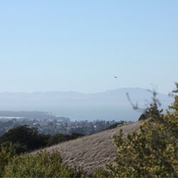 Sobrante Ridge Regional Preserve