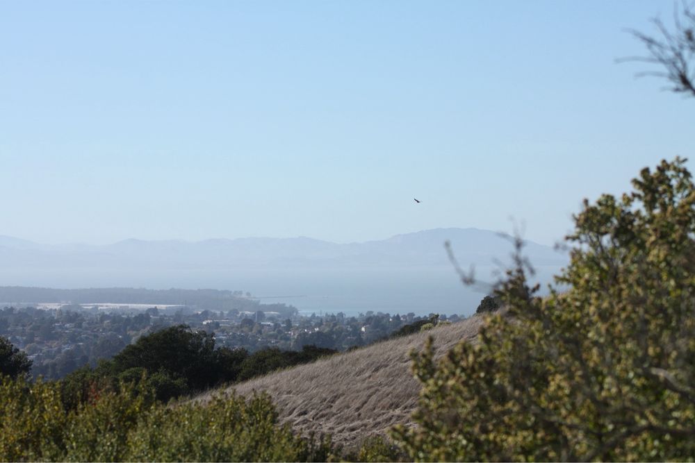 Sobrante Ridge Regional Preserve Logo