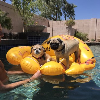 Blue Diamond Pool Service - Bacala and Fonzie enjoying a clear sky and pool. - Pool Cleaners Near Me Blue Diamond Pool Service - Bacala and Fonzie enjoying a clear sky and pool. - Pool Cleaners Near Me