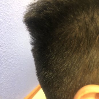 Great Clips - Hair Salons Near Me - Perris, California