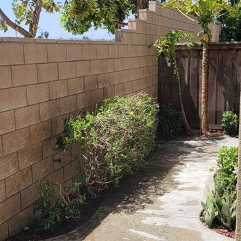 Corta Tree And Garden - Gardeners Near Me