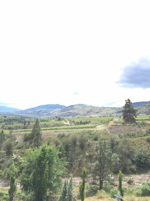 La Stella Winery by null