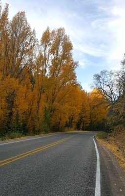 Hyde Memorial State Park by null