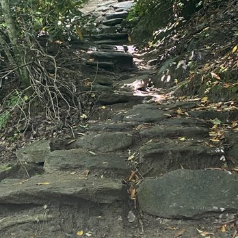 Whiteside Mountain Trail - Natural & man made steps to the top. (500'+ in about 1/2 mile). Or, take the longer but more gradual trail to the left. - Hiking Near Me - Highlands, North Carolina