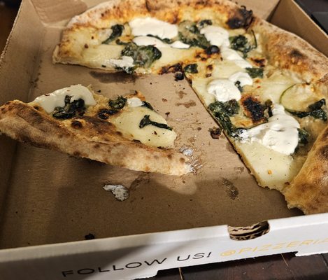 Pizzeria Vetri by null