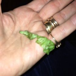 KFC - Would you eat lettuce this rotten? Would you serve it to a customer? Taco Bell does.