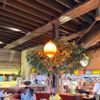 Amado - Mexican Near Me - Burlingame, California