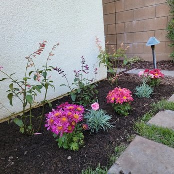 Yard Techs - Gardeners Near Me