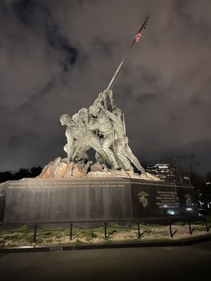 USA Guided Tours by null