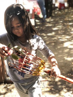 Willowbrook Apple Farm by null