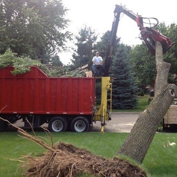 J & S Tree Service - Tree Service - Tree Services Near Me J & S Tree Service - Tree Service - Tree Services Near Me