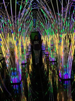 Otherworld Philadelphia by null