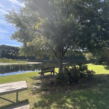Coastal Georgia RV Resort - Shade tree and bench on the lake - RV Parks Near Me - Brunswick, Georgia Coastal Georgia RV Resort - Shade tree and bench on the lake - RV Parks Near Me - Brunswick, Georgia