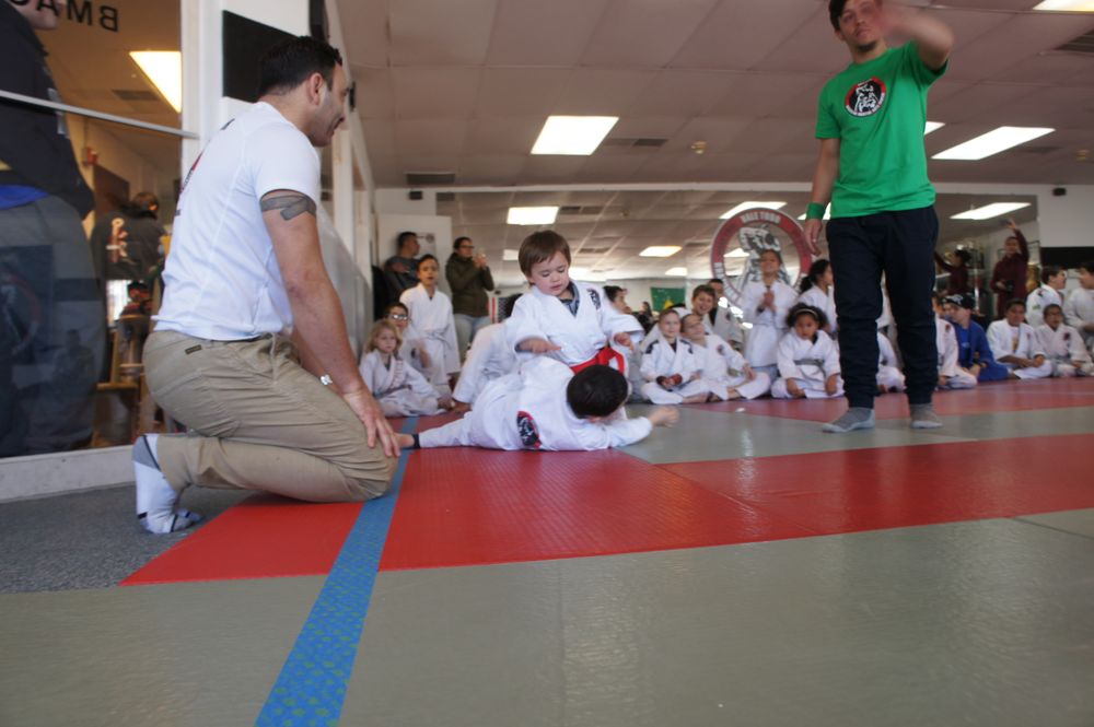 Brazilian Martial Arts Center Logo