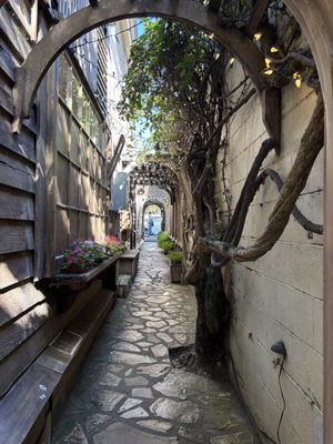 The Xocolatl Garden by null