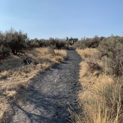 Drumheller Channels National Natural Landmark - Path to the vista point looking towards the parking area.