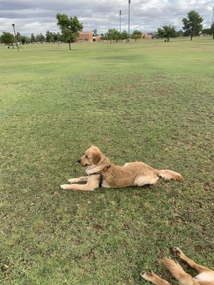 Deer Valley Park by null