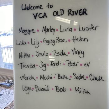 VCA Old River Animal Hospital - Veterinarians Near Me - Tracy, California VCA Old River Animal Hospital - Veterinarians Near Me - Tracy, California