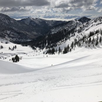 Snowbird - Ski Resorts Near Me - Snowbird, Utah