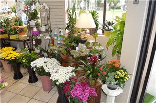 Vernon Flower Shop by null