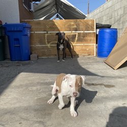 Boone's Feed Store Giftly Beautiful Gift Card Alternative